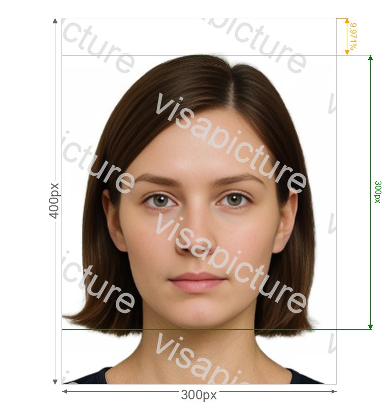 China China APEC Business Travel Card 300x400 pixels photo after processing - compliant 25.4x33.867mm result