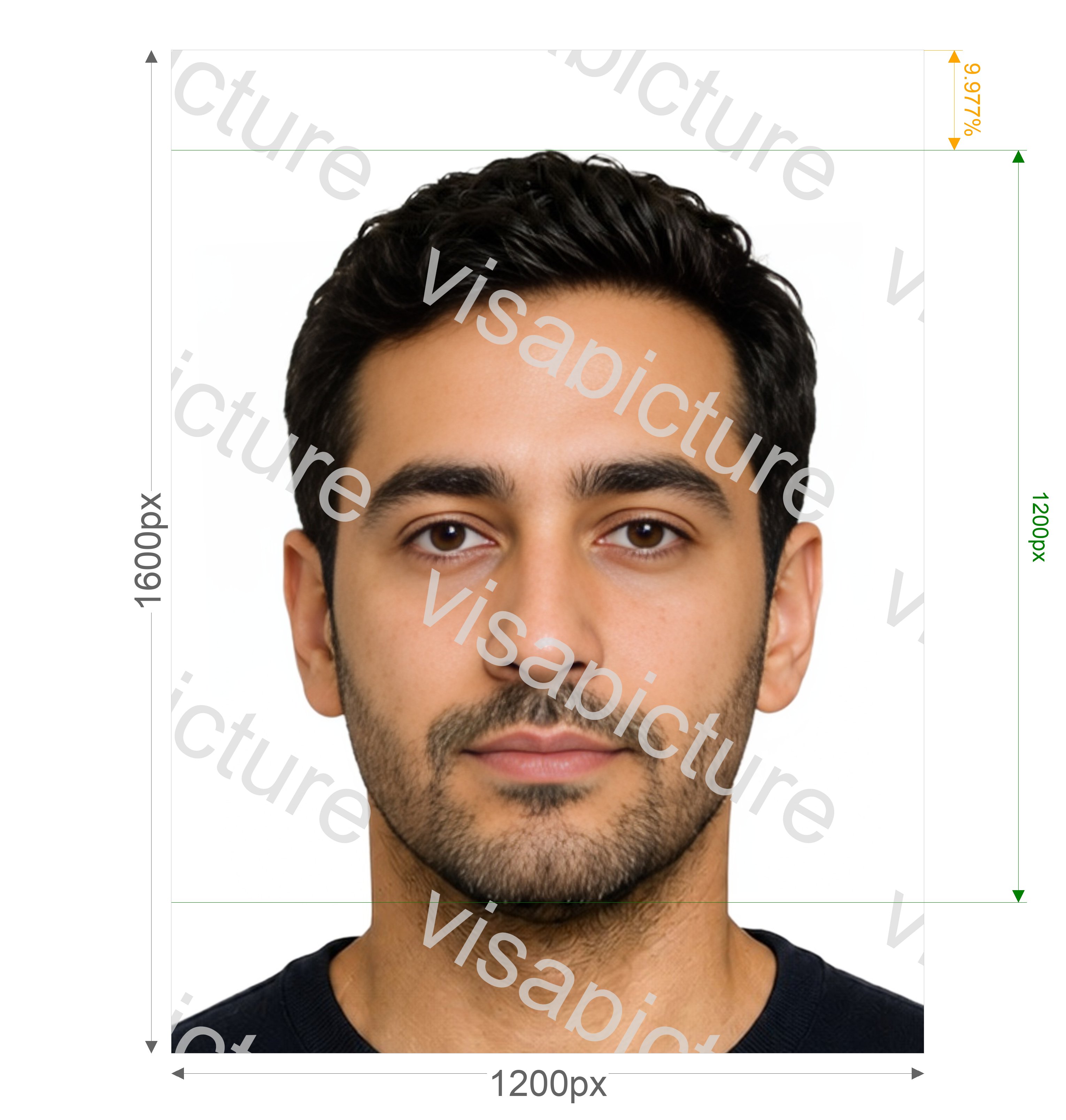 VisaPics passport photo example 288_preview.jpg?v=1778884175