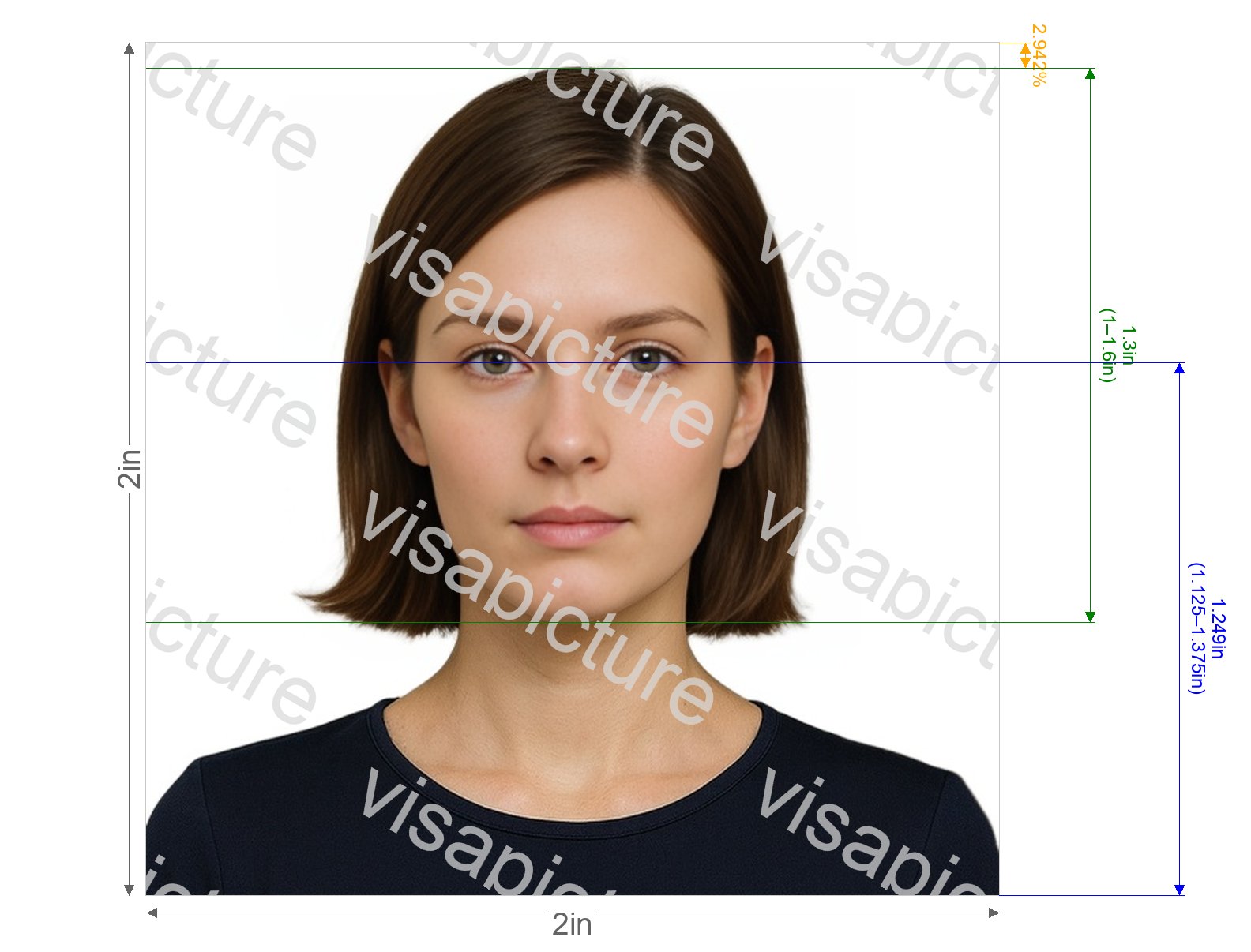 India India OCI Passport (2x2 inch, 51x51mm, 200x200 to 1500x1500 pixels) photo after processing - compliant 50.8x50.8mm result