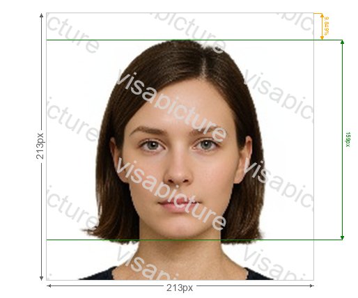 India India PAN card online 213x213 pixel photo after processing - compliant 18.034x18.034mm result