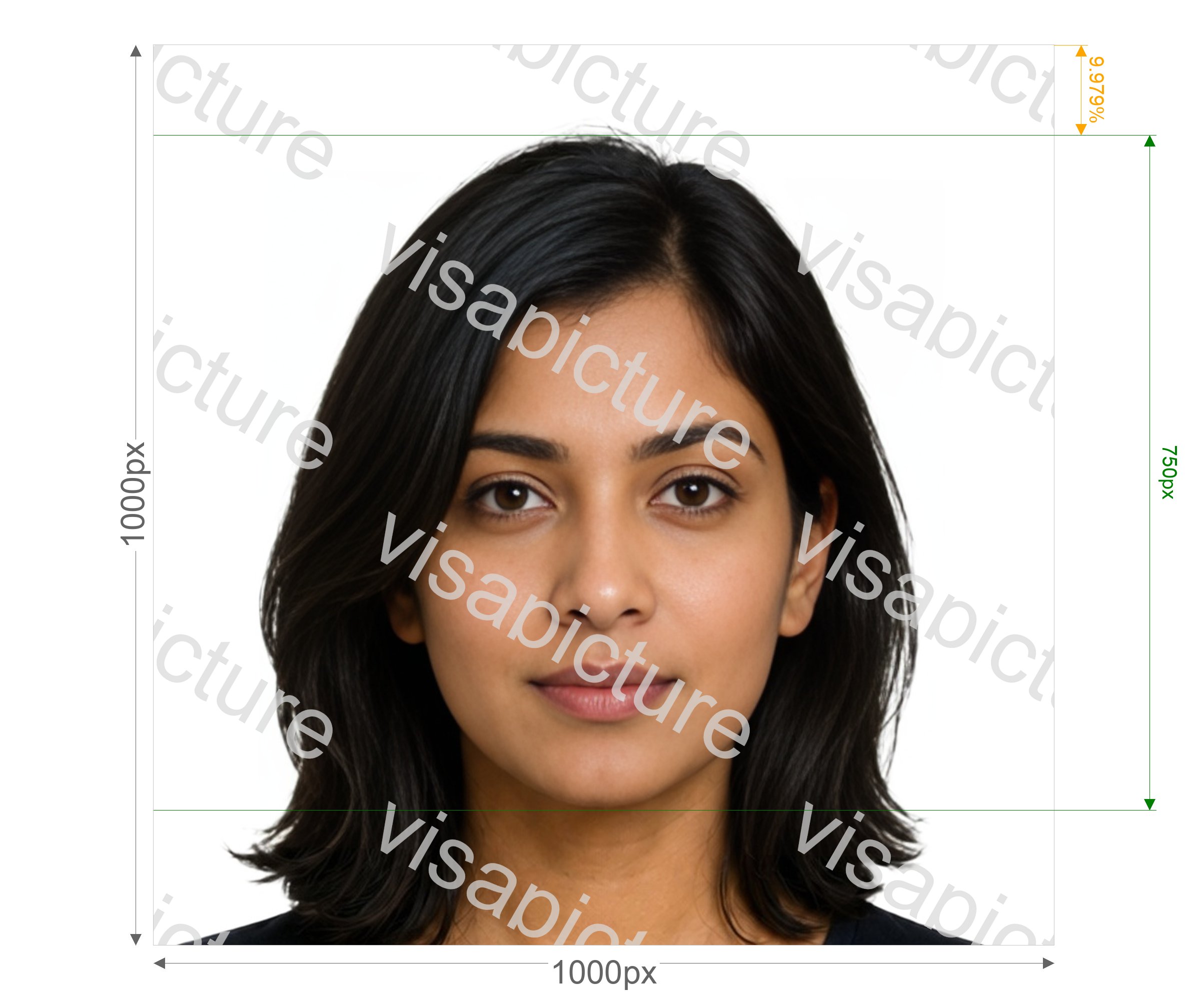 VisaPics passport photo example 329_preview.jpg?v=1778887803