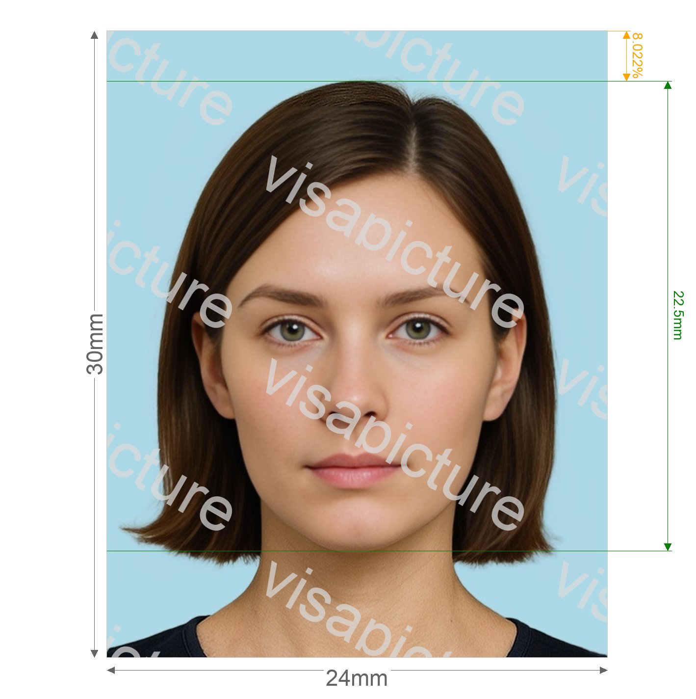 Japan Japan Hunting license 2.4x3 cm photo after processing - compliant 24.0x30.0mm result