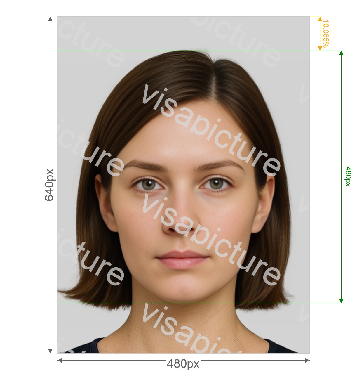 Bahamas Bahamas passport 480x640 pixels photo after processing - compliant 40.64x54.187mm result