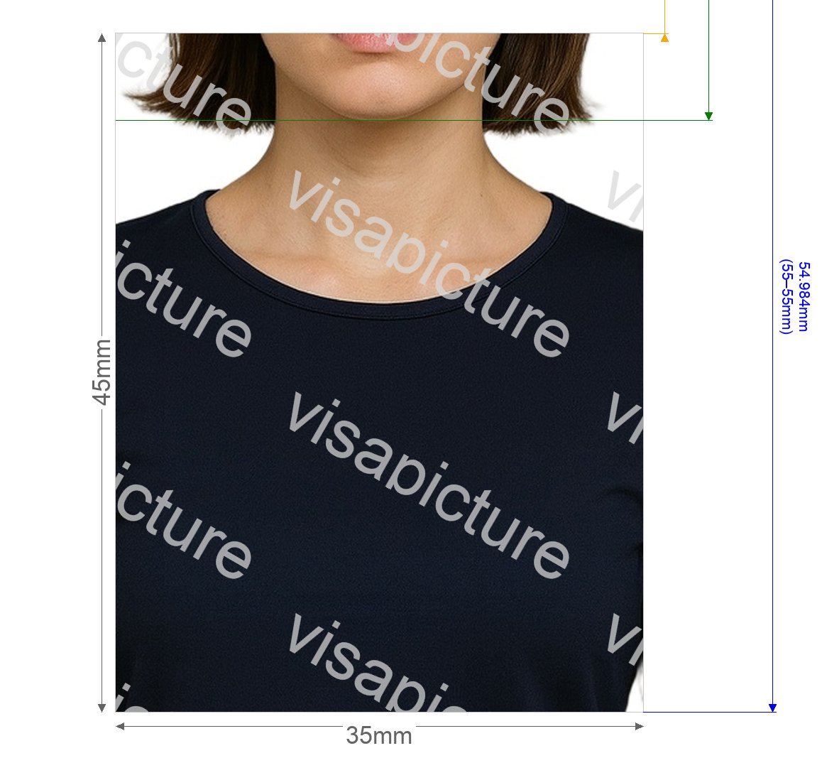 New Zealand New Zealand APEC Business Travel Card photo after processing - compliant 35.0x45.0mm result