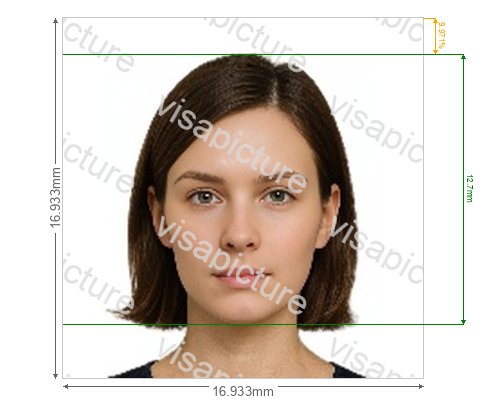 Saudi Arabia Saudi Arabia e-visa online 200x200 px for visitsaudi.com photo after processing - compliant 16.933x16.933mm result