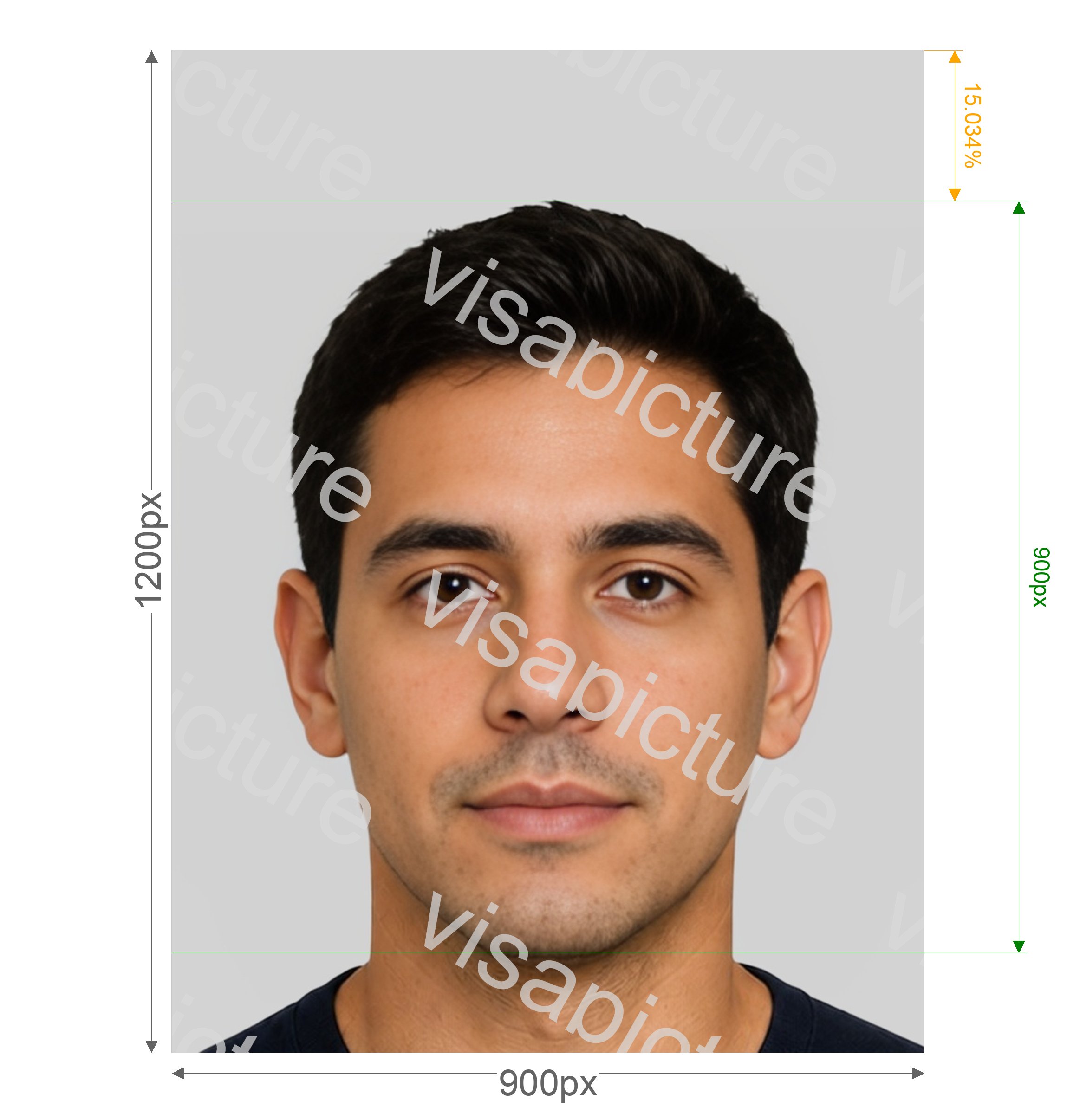 VisaPics passport photo example 810_preview.jpg?v=1778931475