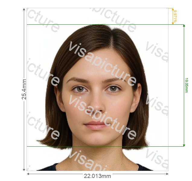 United Nations University of Pittsburgh Panther Card 260x300 px photo after processing - compliant 22.013x25.4mm result